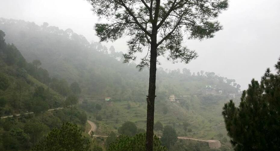 TG Stays Khajret, Kasauli 2